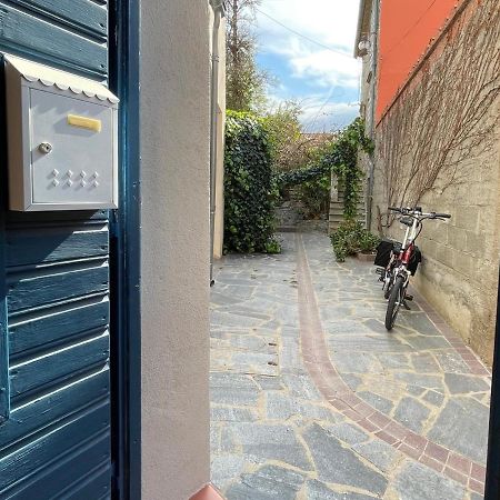 Studio Collioure, 2 pièces, 4 personnes - FR-1-309-153 Esterno foto